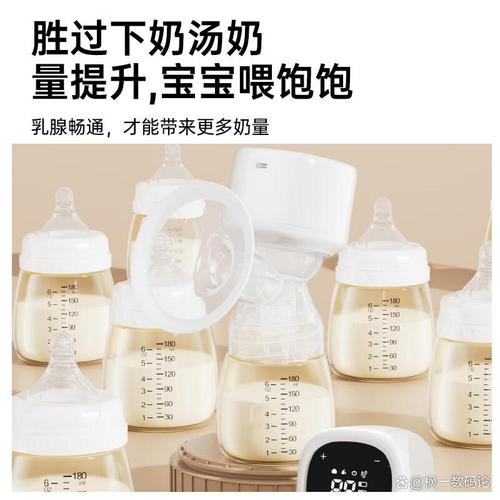 2026年高性价比电动吸奶器十大品牌排行榜 哪个电动调奶器更值得选？